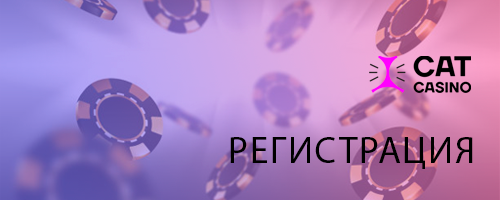 регистрация Cat casino